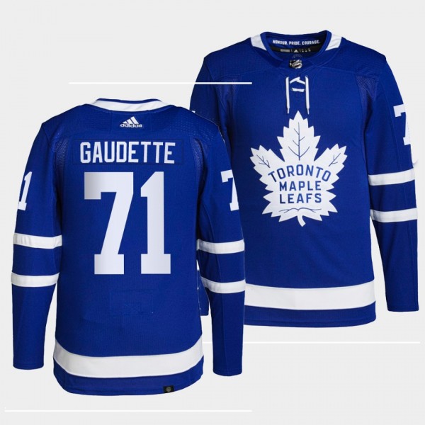 Toronto Maple Leafs 2022 Primegreen Authentic Adam...