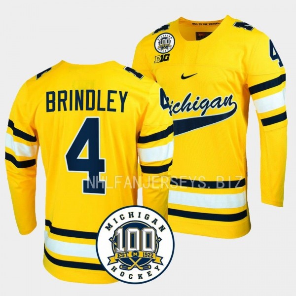 Gavin Brindley Michigan Wolverines 100th Anniversary Maize Hockey Jersey 4