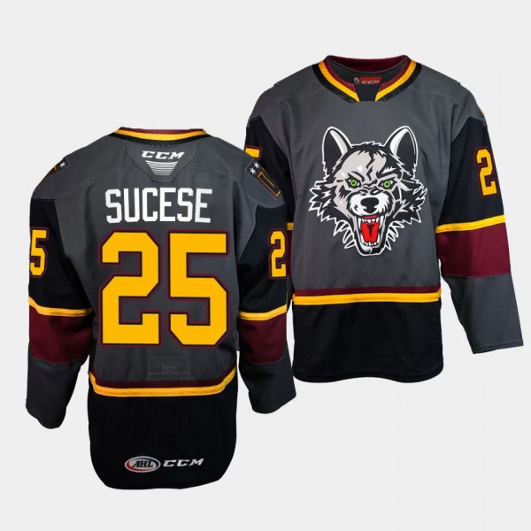 Nate Sucese Chicago Wolves #25 Grey AHL Storm Alte...