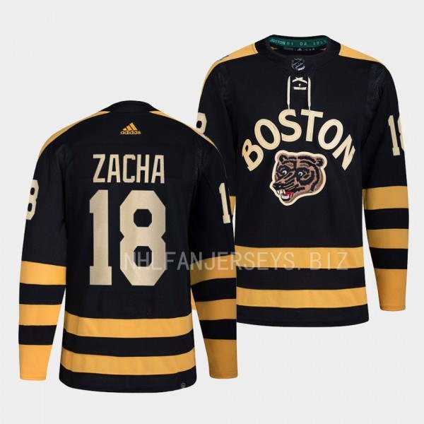 2023 Winter Classic Boston Bruins Pavel Zacha #18 ...
