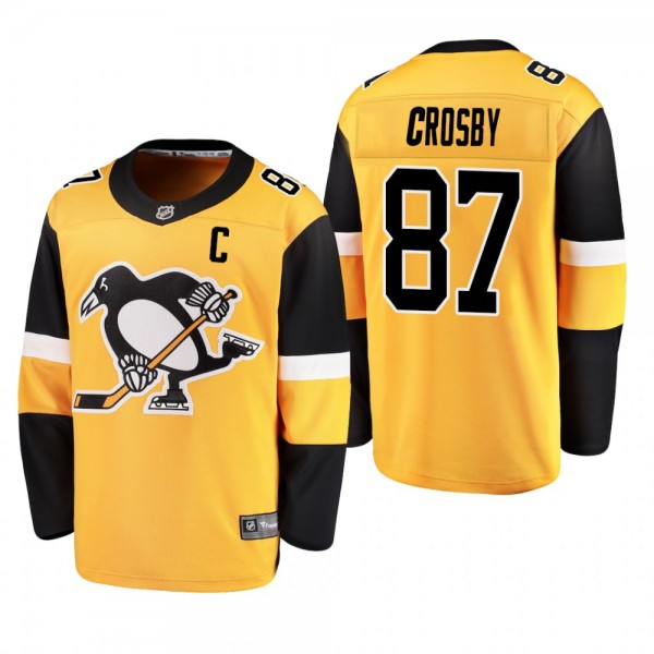 Men's Pittsburgh Penguins Sidney Crosby #87 2019 Alternate Reasonable Breakaway Jersey - Gold
